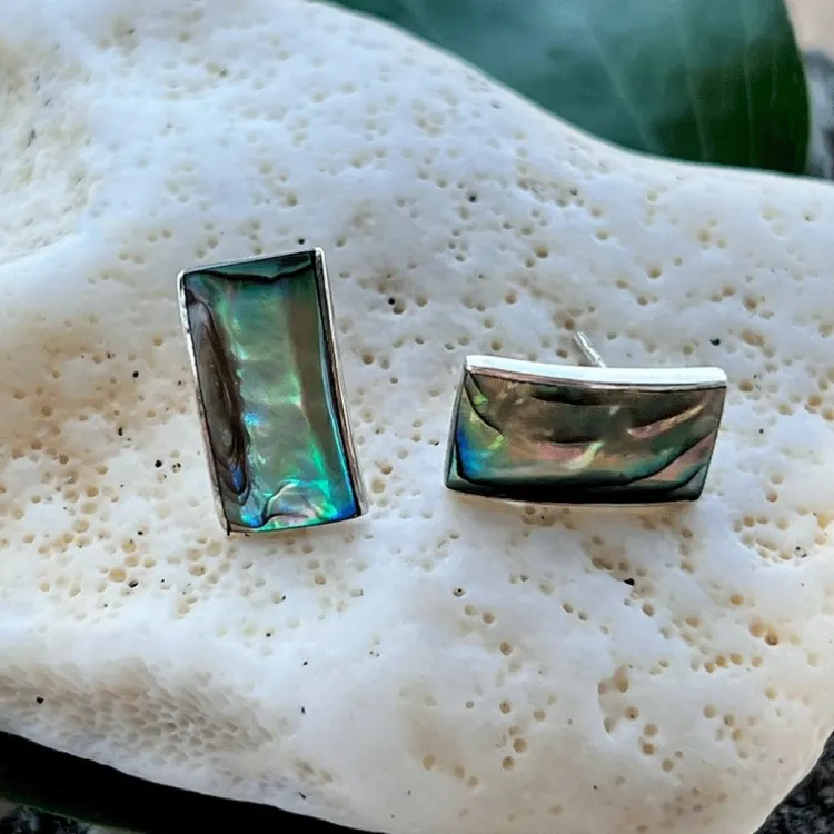 Discount Abalone Waves Earrings Earrings