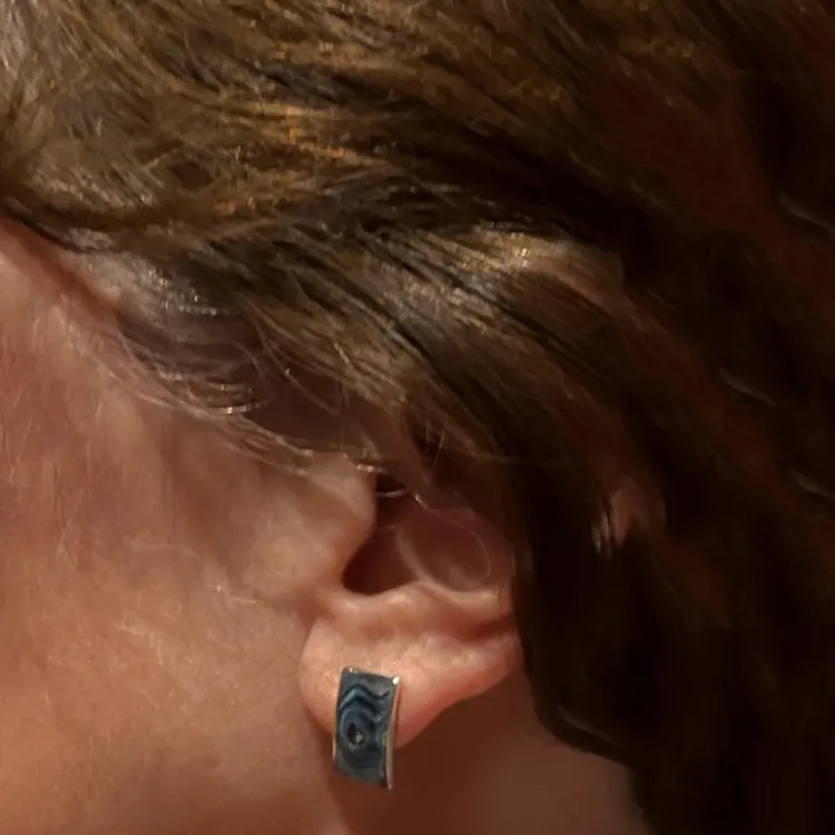Discount Abalone Waves Earrings Earrings