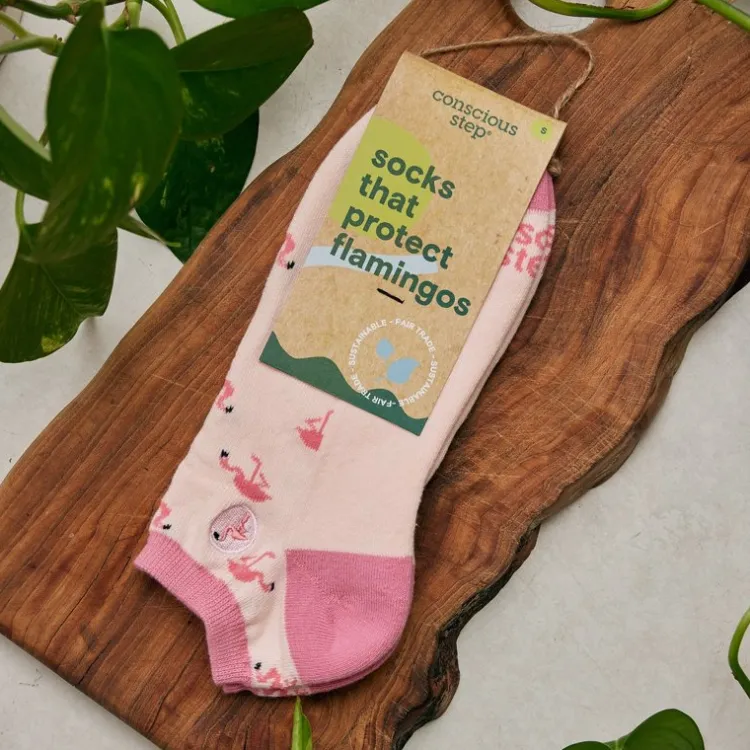 Best Ankle Socks that Protect Flamingos Socks