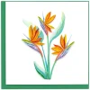 Clearance Bird of Paradise Quilling Card Bird & Flower Cards