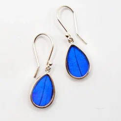 Sale Blue Morpho Butterfly Wing Earrings Earrings