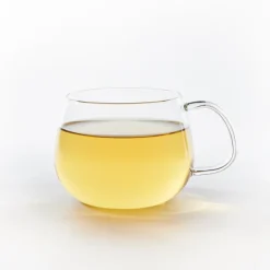 Outlet Coconut Green Loose Leaf Tea Tin Food