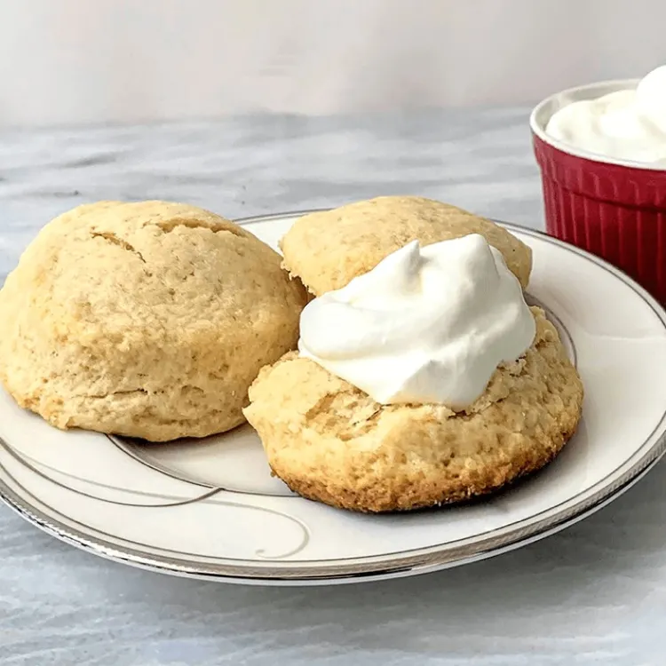 Outlet Cream Scone Mix Food | Chef Accessories