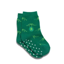New Kids Socks That Give Books Green Dinosaur Socks
