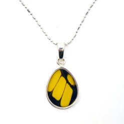 Hot King Swallowtail Butterfly Wing Necklace Necklaces