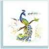 Clearance Posing Peacock Quilling Card Bird & Flower Cards