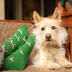 Outlet Socks that Save Dogs Boxed Set Socks