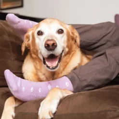 Online Socks That Save Dogs Lavender Socks