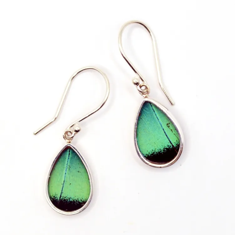 Clearance Three-Toned Prepona Butterfly Wing Earrings Earrings