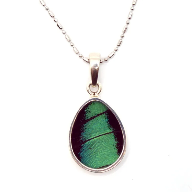Discount Three-Toned Prepona Butterfly Wing Necklace Necklaces