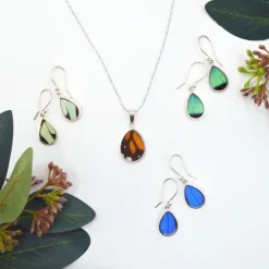 Clearance Three-Toned Prepona Butterfly Wing Earrings Earrings